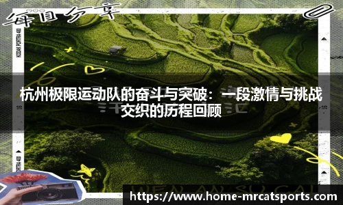 猫先生体育平台