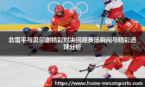 猫先生体育平台